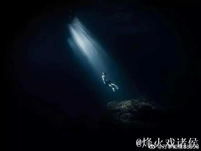 安静中博弈 黑暗中“追光”